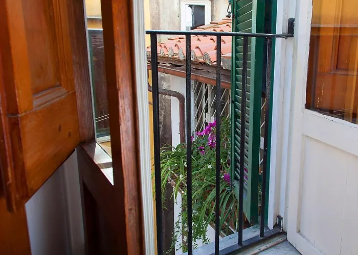 Boutique Domus Navona Librari